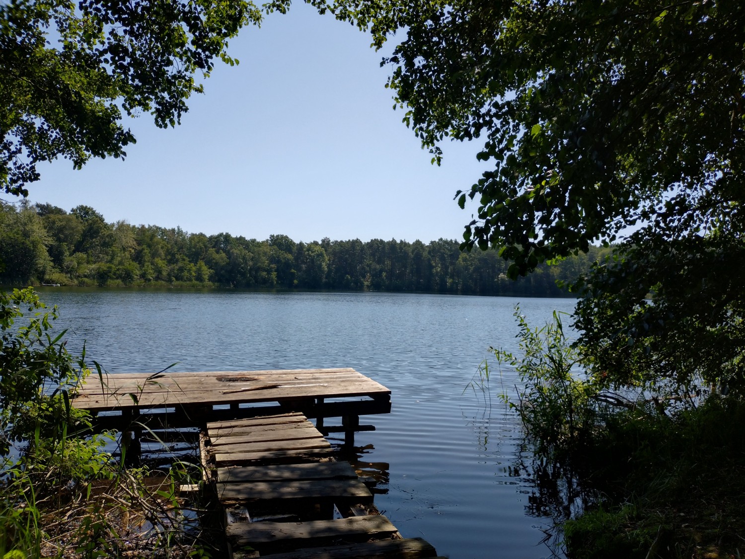 Naturfotos-August (1)
