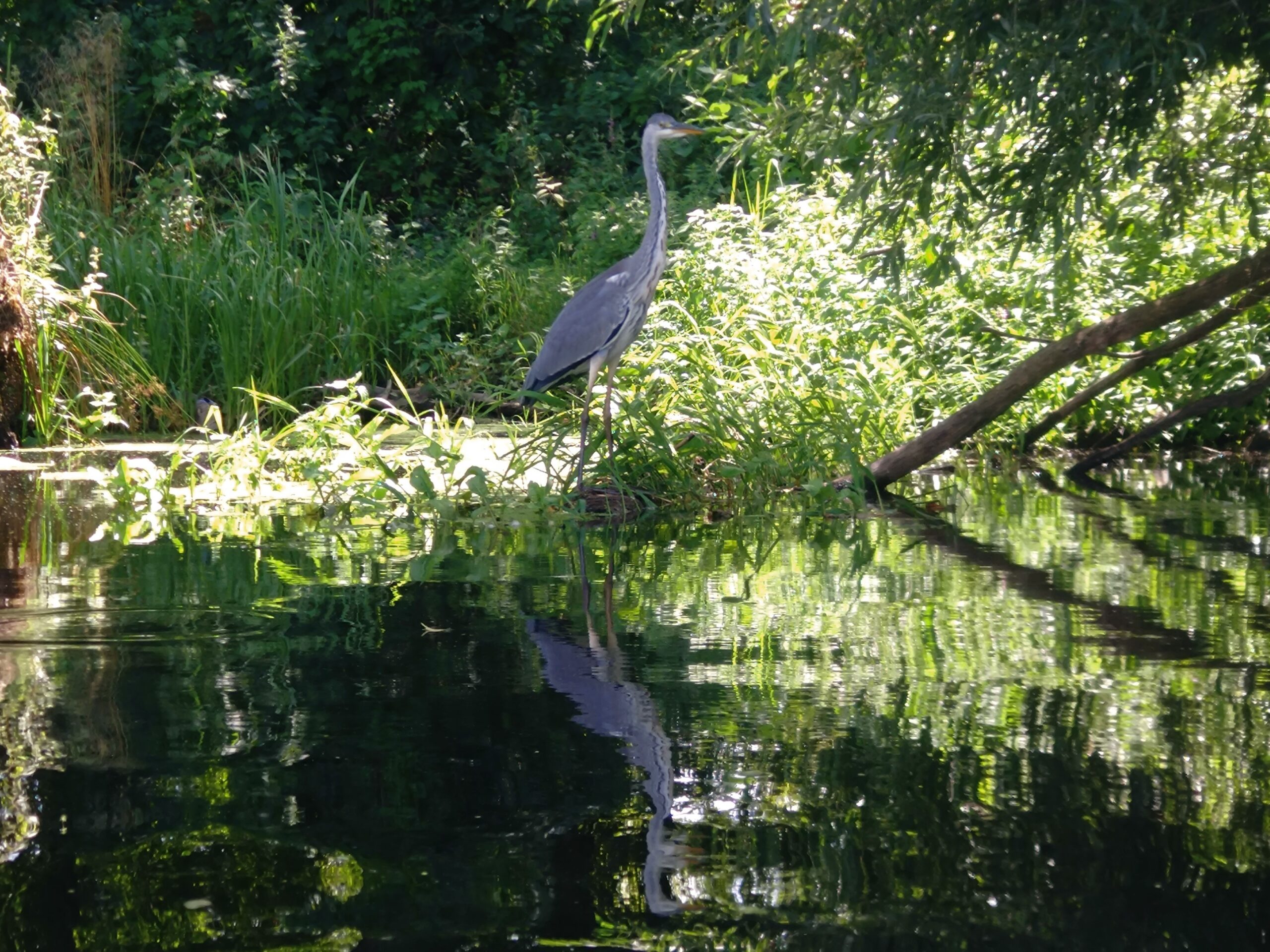 Naturfotos-August (2)