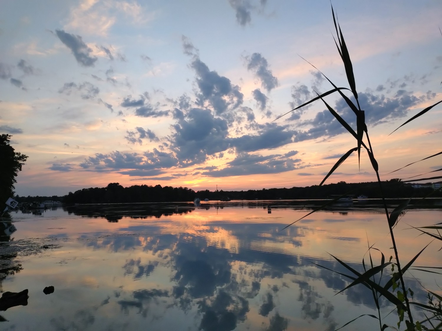 Naturfotos-August (3)
