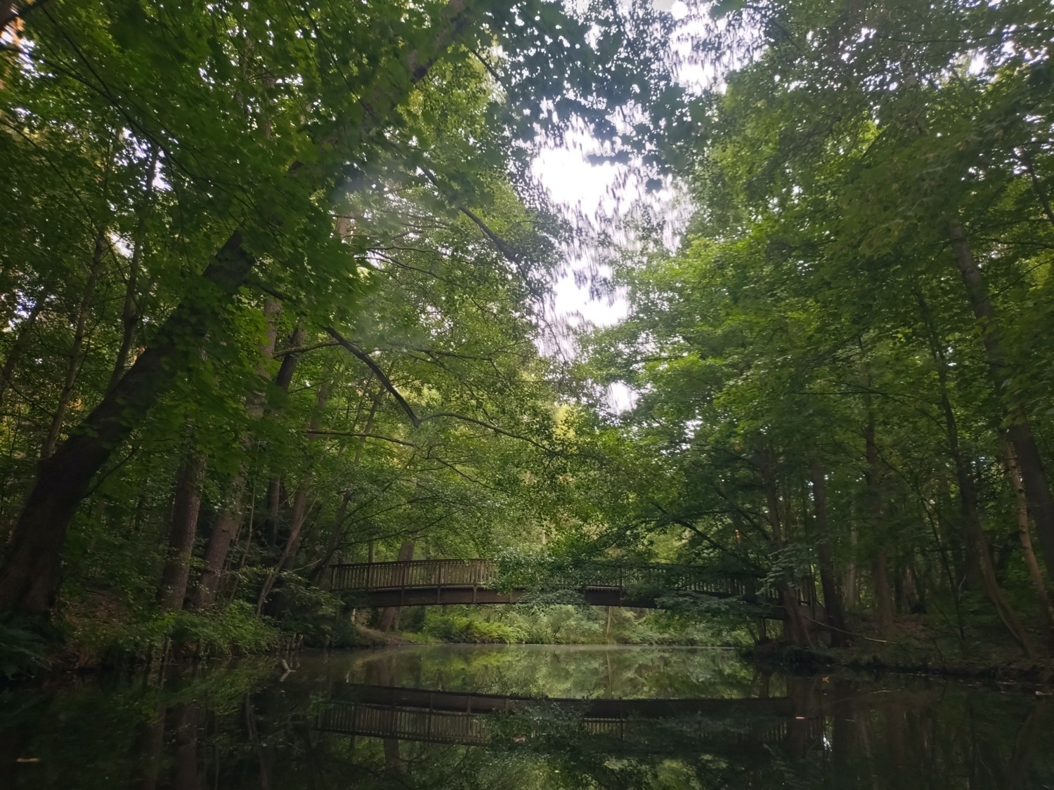 Naturschatz-Projekt